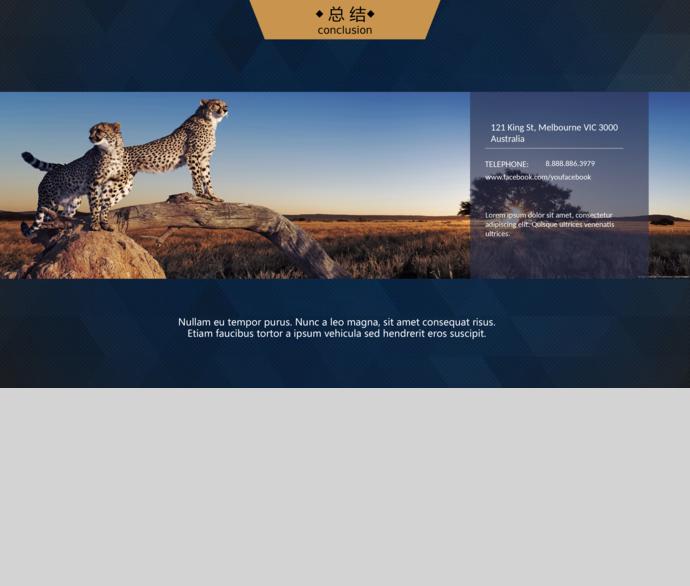 青色大氣創(chuàng)業(yè)計劃書-2