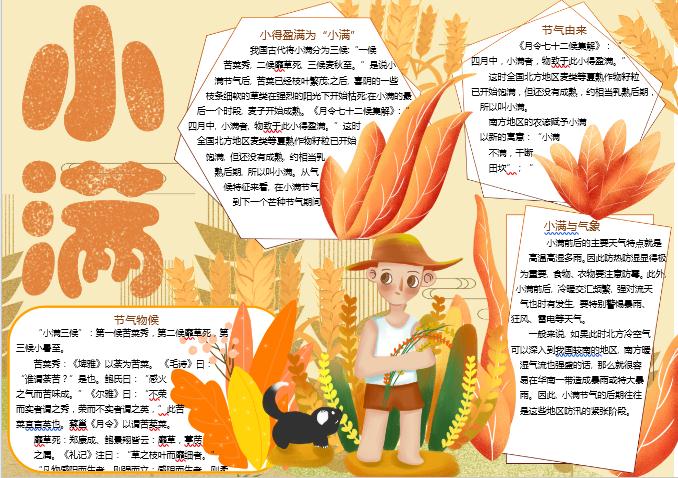 金黃清新小滿節(jié)氣手抄報(bào)word模板