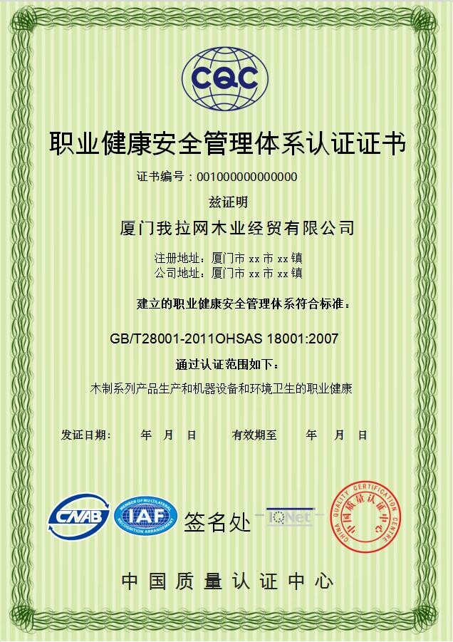 職業(yè)健康安全管理體系認(rèn)證證書Word模板