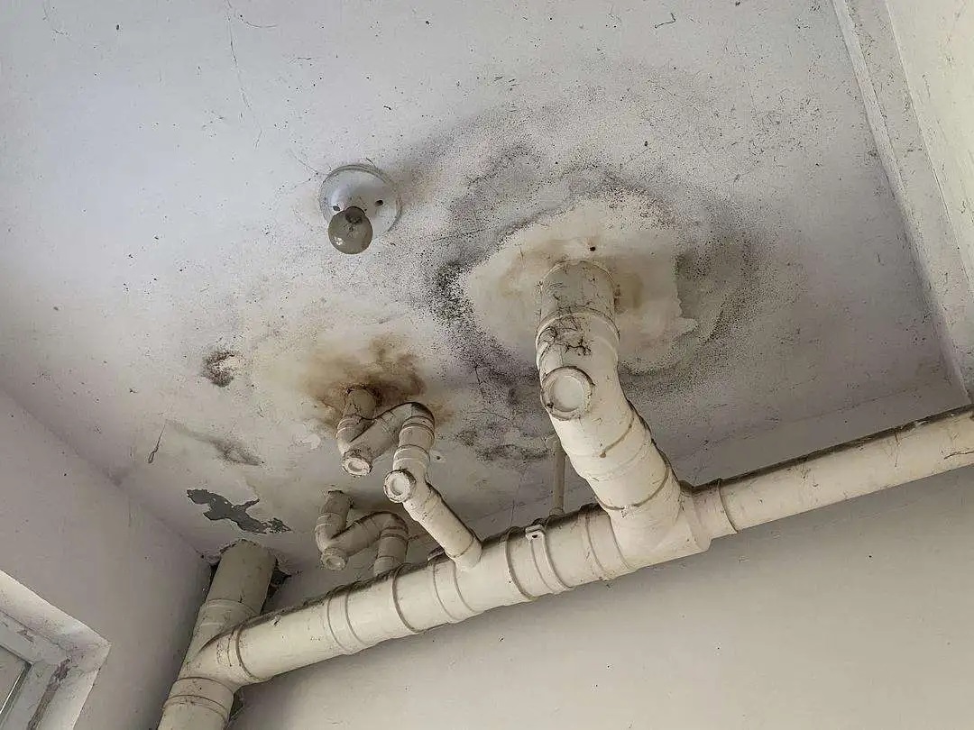 裝修后為何防水仍然滲水？原來問題出在這些地方