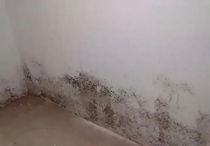 防水≠防滲！80%的人都弄錯了！