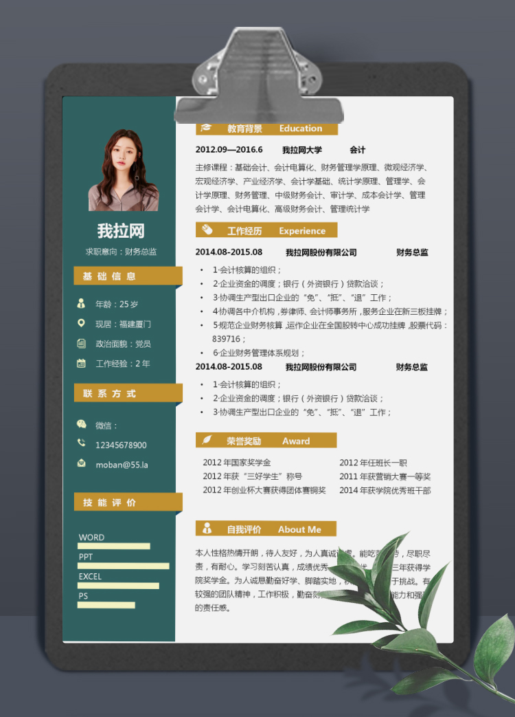 墨藍(lán)黃高端風(fēng)財務(wù)總監(jiān)個人簡歷模板