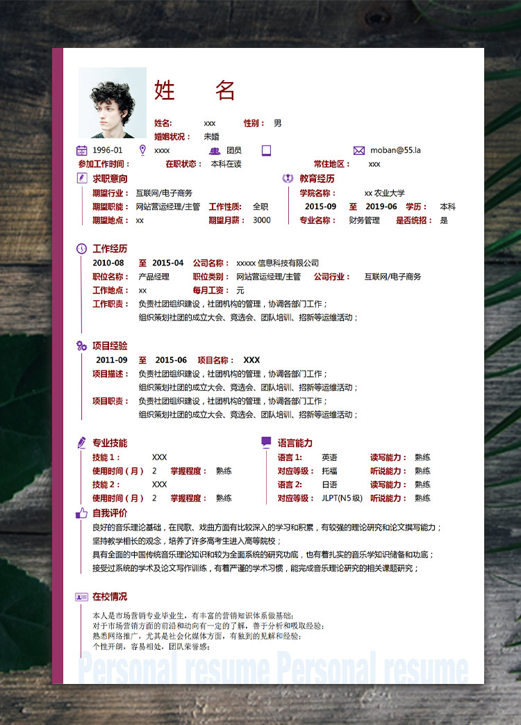 紅白底應屆生網站營運簡歷模板