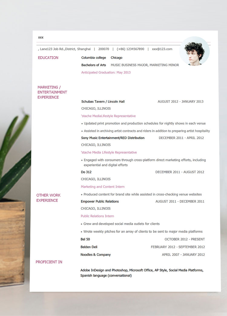 淡粉色簡約通用英文簡歷