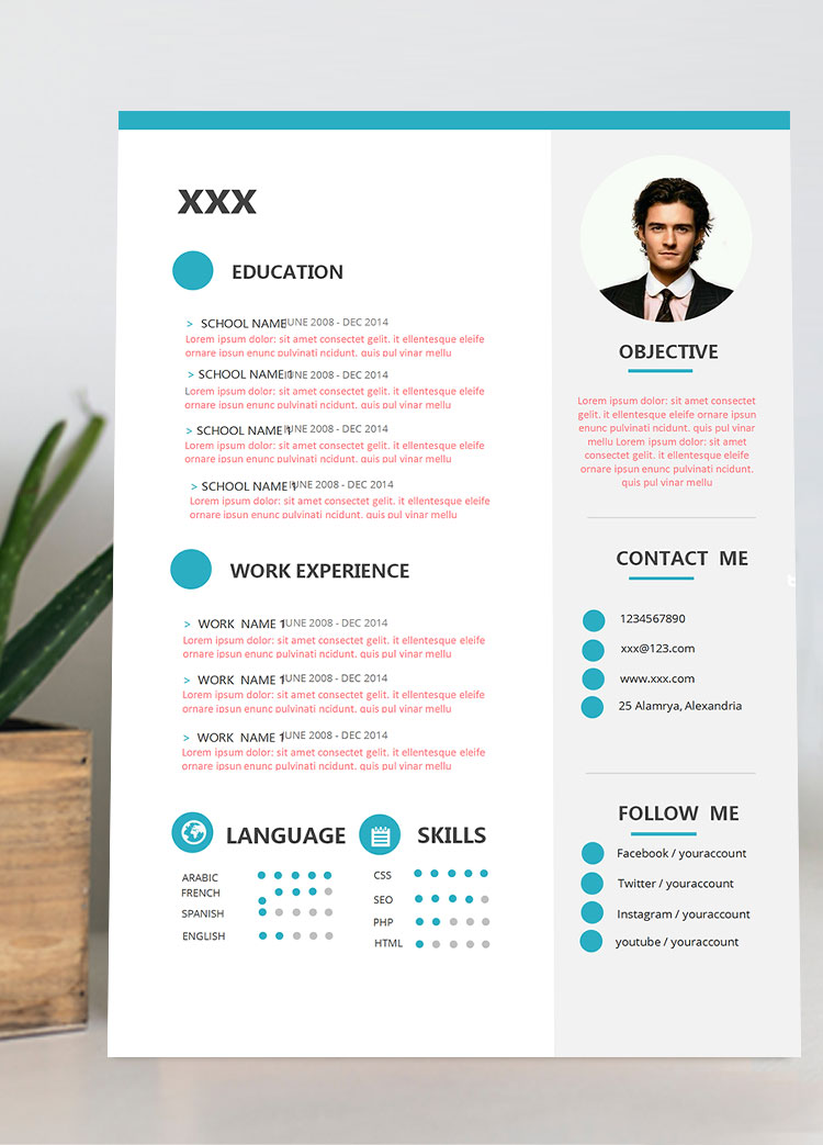 淡藍(lán)色大氣通用英文簡(jiǎn)歷模板