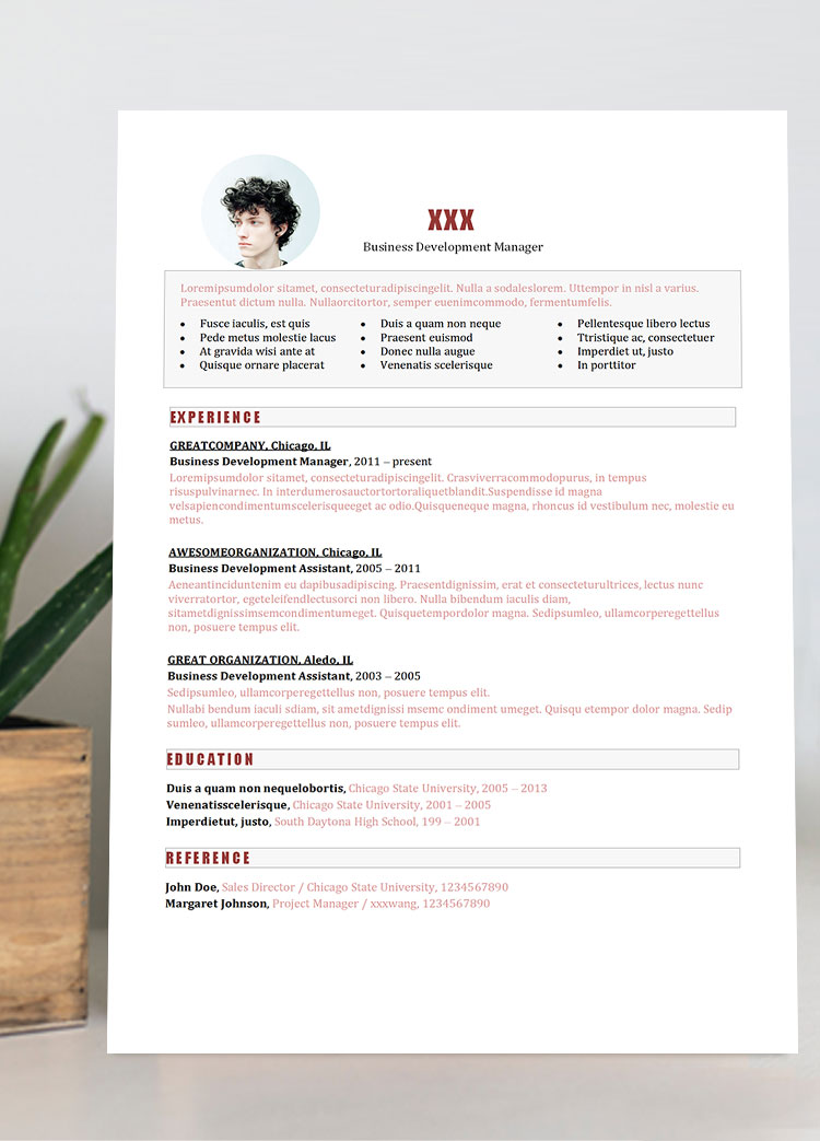 粉色簡(jiǎn)約業(yè)務(wù)開(kāi)發(fā)經(jīng)理英文簡(jiǎn)歷