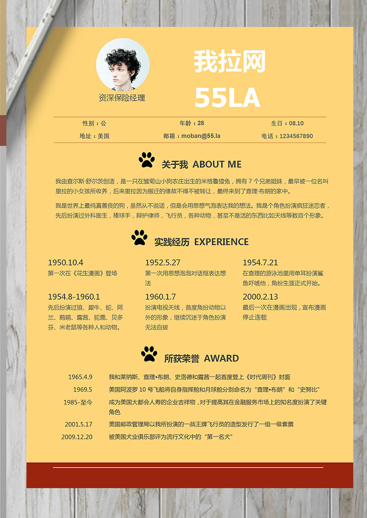 玉米黃精美風資深保險員簡歷模板-1