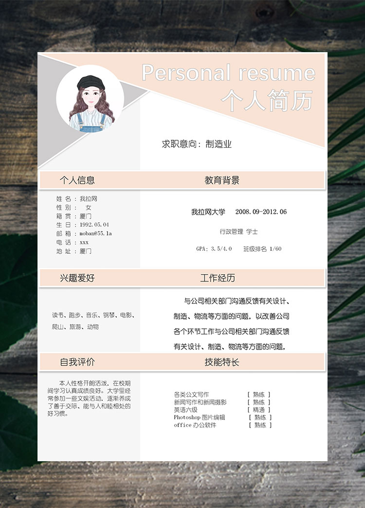 淡粉色創(chuàng)意風(fēng)制造業(yè)客服簡歷模板