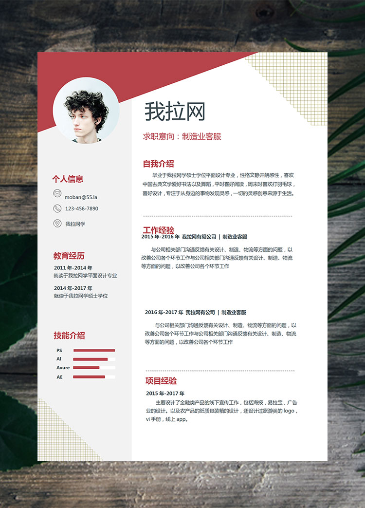 棗紅色創(chuàng)意風制造業(yè)客服簡歷模板
