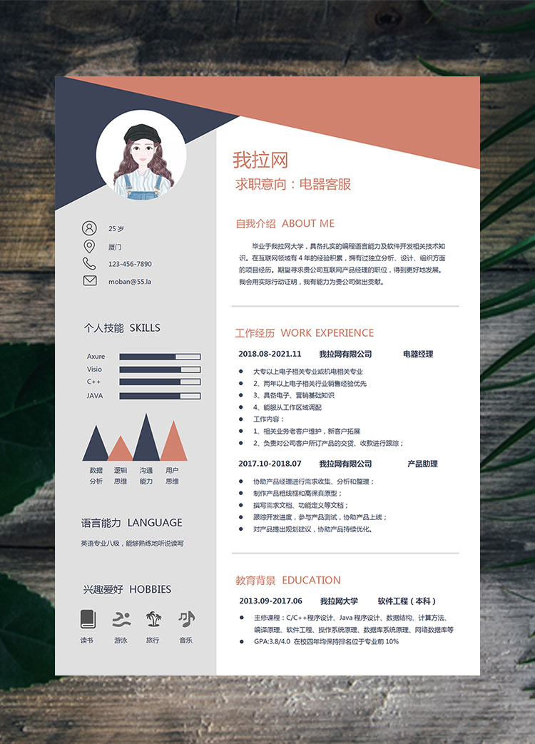 多彩創(chuàng)意風(fēng)格電器客服簡歷模板