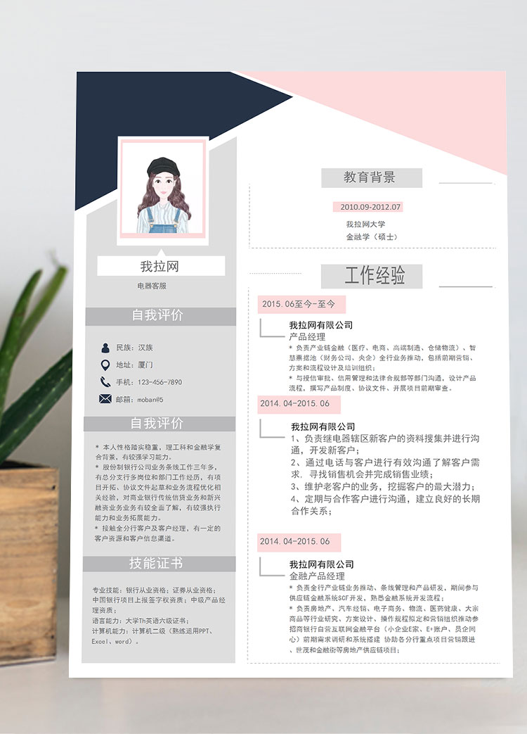 灰粉色時尚電器客服簡歷模板
