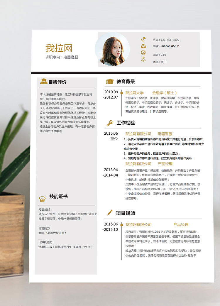 金色創(chuàng)意風電器客服簡歷模板