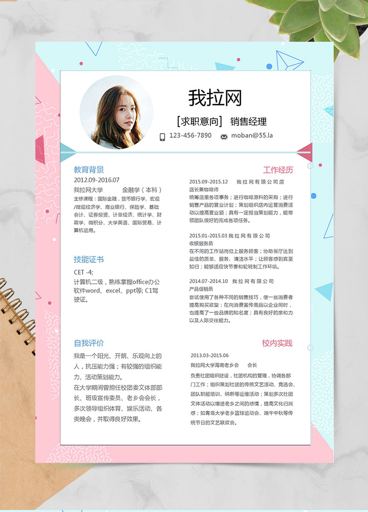 彩色系圖形風(fēng)格銷售經(jīng)理簡歷模板