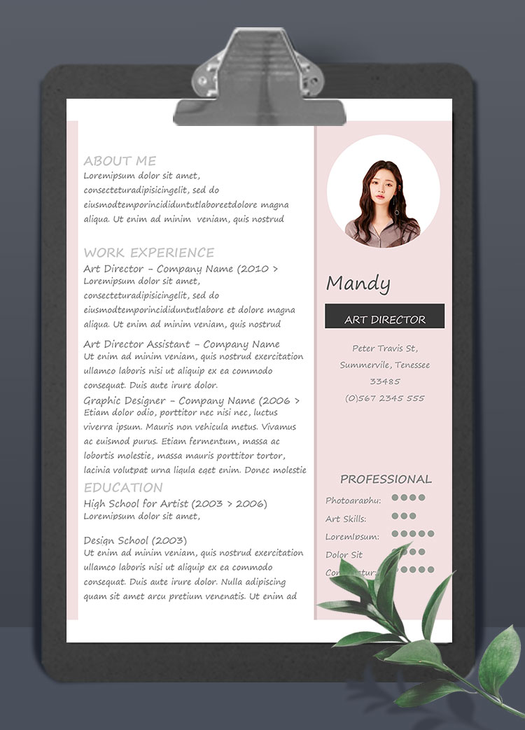 粉色精美風(fēng)通用英文簡歷