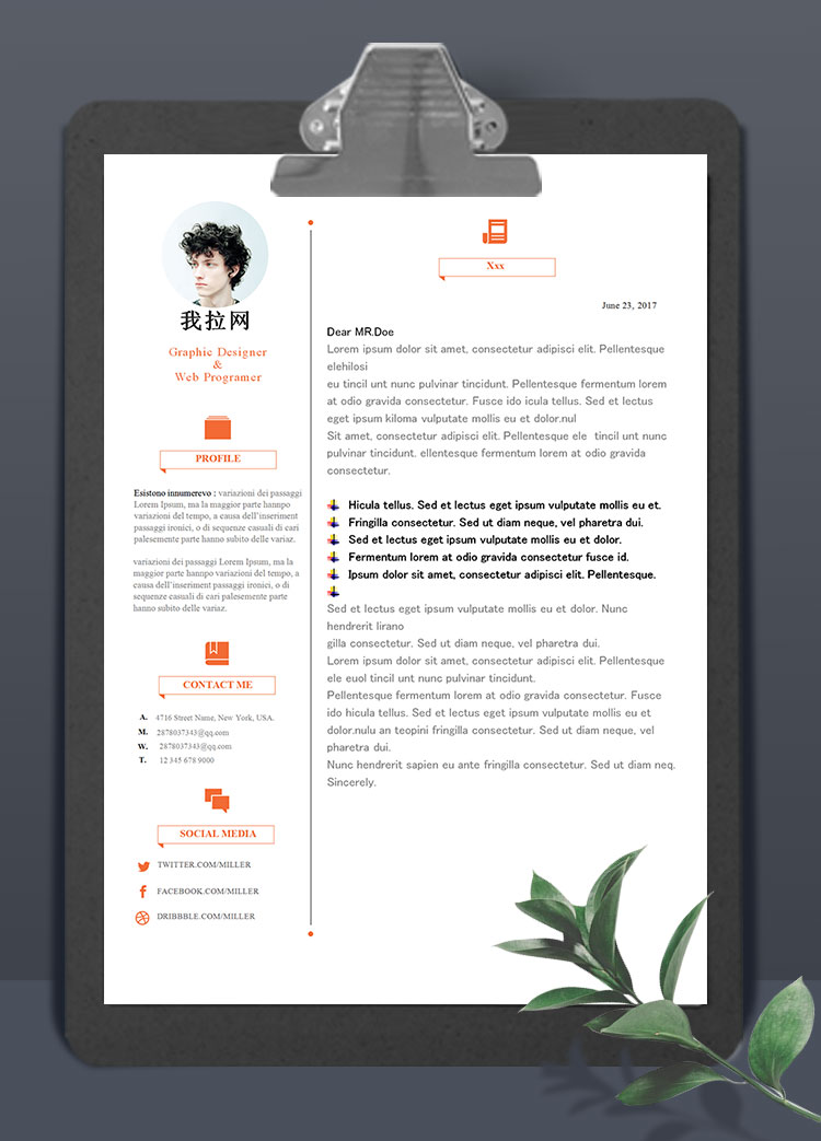 簡(jiǎn)約大氣平面設(shè)計(jì)師英文簡(jiǎn)歷