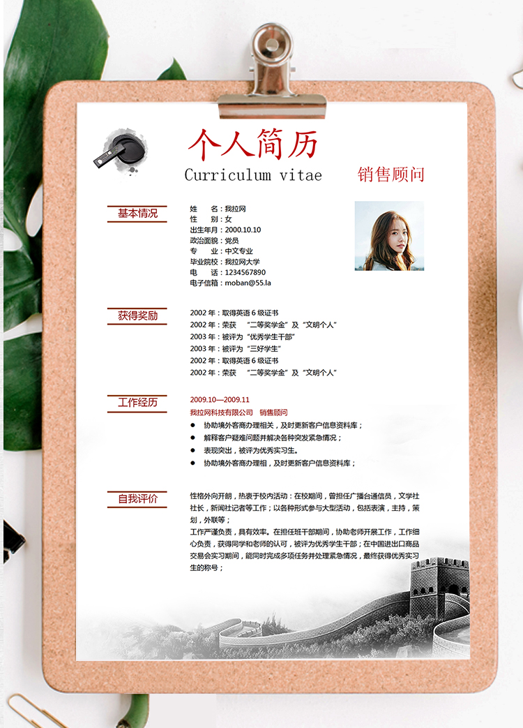 水墨中國風(fēng)銷售顧問個(gè)人求職簡歷模板-1