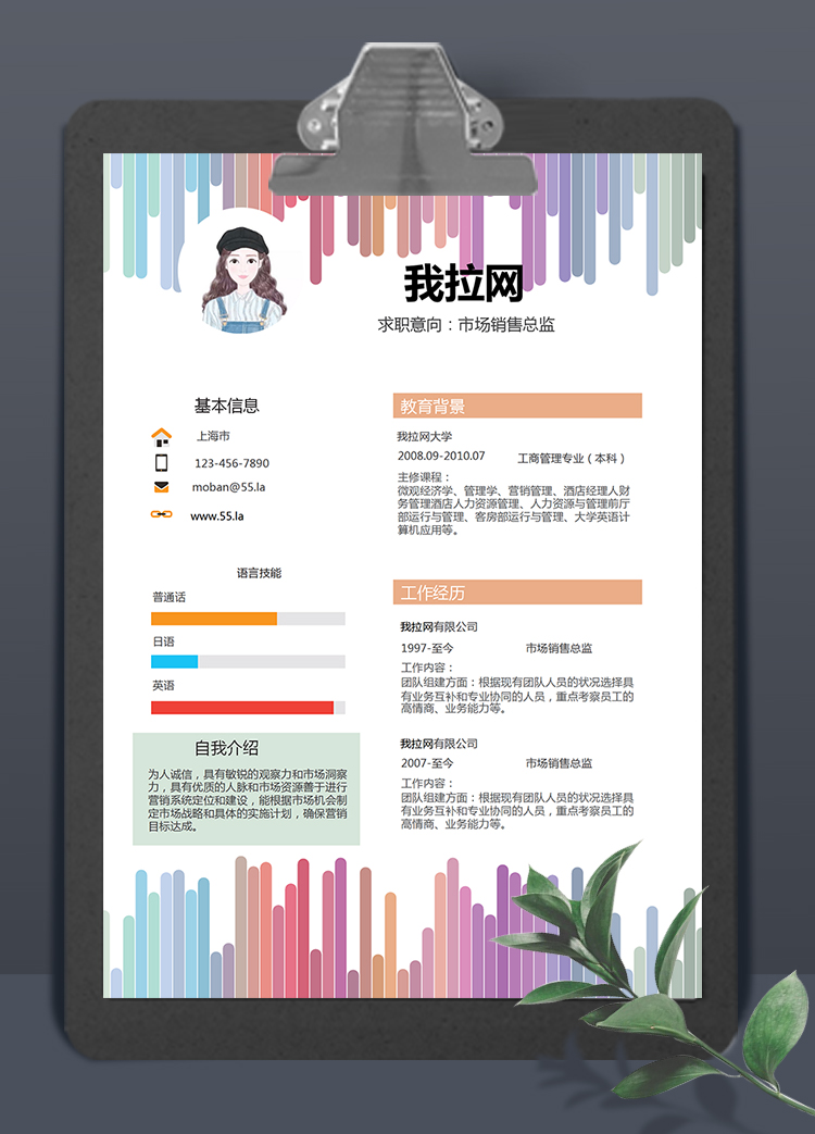 彩虹風格市場銷售總監(jiān)求職簡歷word簡歷模板