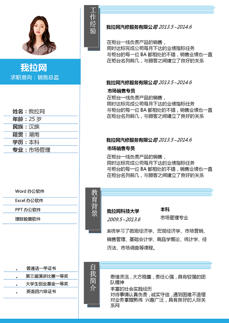 簡約灰藍(lán)線條銷售總監(jiān)簡歷求職簡歷Word模板-1