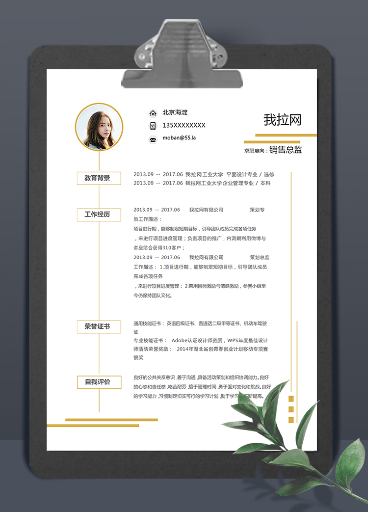 金黃簡約大氣風(fēng)格銷售總監(jiān)簡歷模板