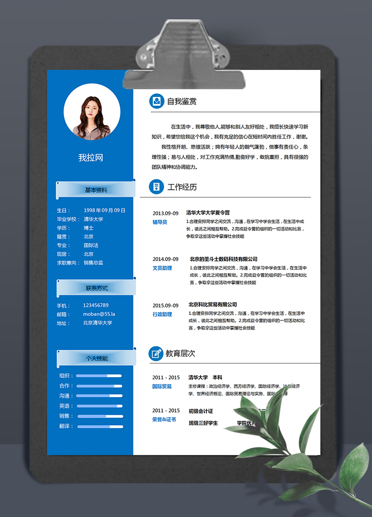 藍(lán)色簡約大氣銷售總監(jiān)求職簡歷模板