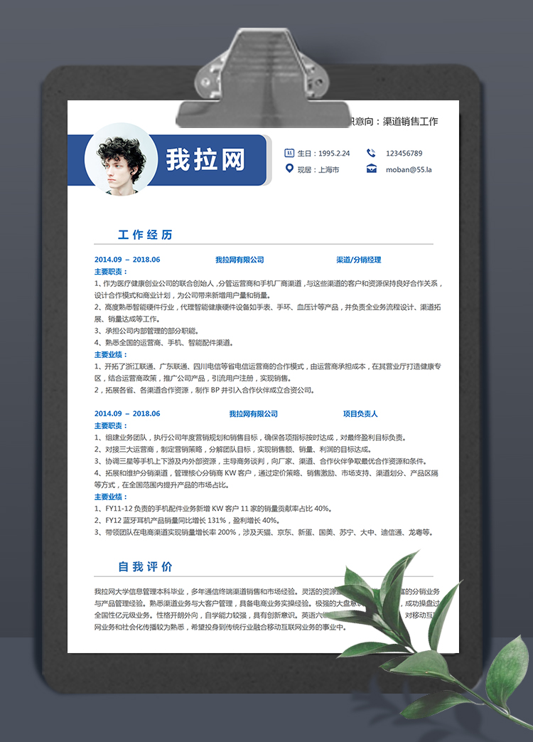 藍(lán)色時(shí)尚大氣渠道銷售3到5年工作經(jīng)驗(yàn)簡(jiǎn)歷模板