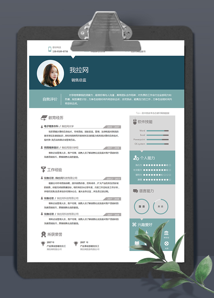 綠色創(chuàng)意簡約時尚大氣銷售總監(jiān)2年作經(jīng)驗簡歷模板