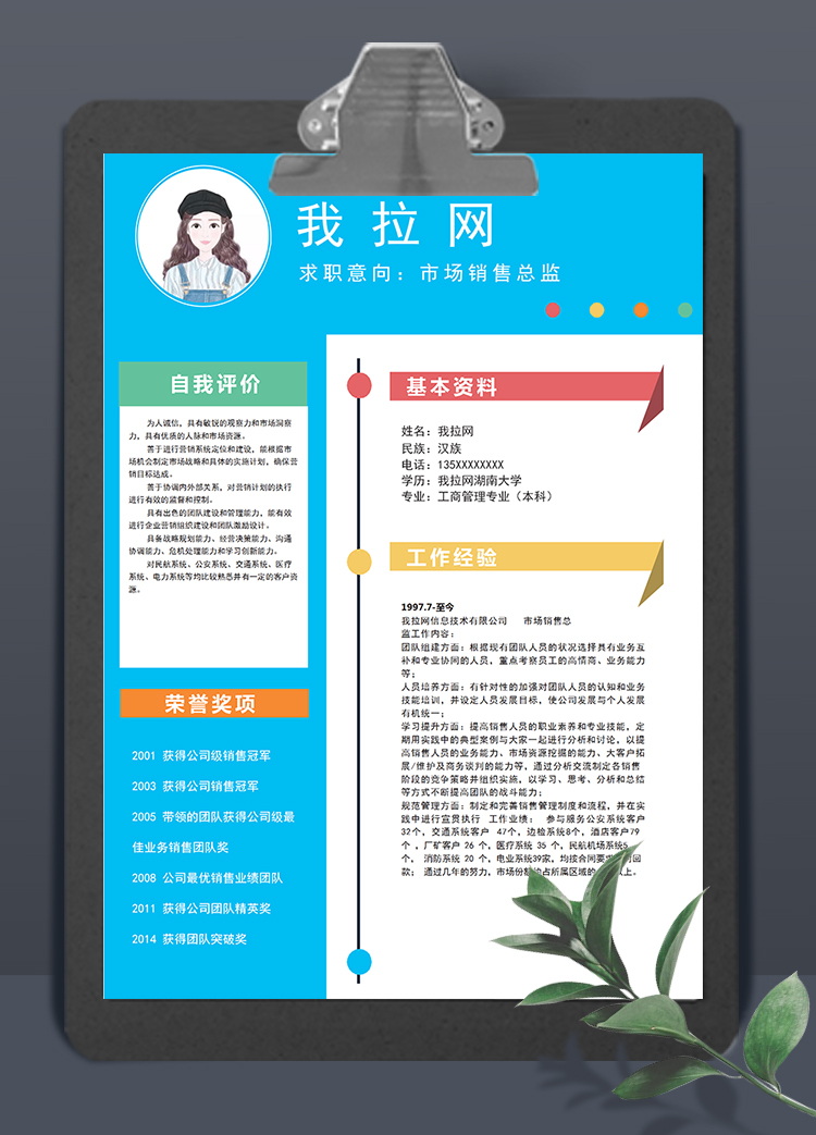 唯美彩色風(fēng)格市場(chǎng)銷售總監(jiān)簡(jiǎn)歷模板