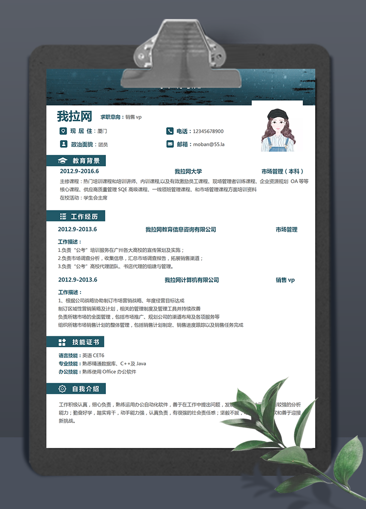 藍(lán)灰色銷售vp個(gè)人簡歷模板