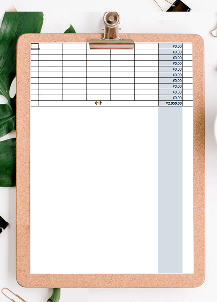 項(xiàng)目成本預(yù)算表-1